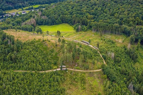 Aerial photo, forest area with forest damage at Weibersberg, Bad Laasphe, Wittgensteiner Land,