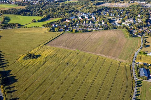 Aerial view, triangular group of trees in a field on Lünener Straße, field, field, group of trees,