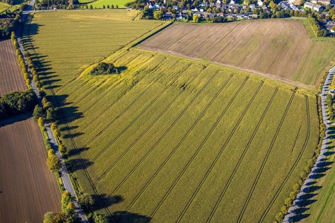 Aerial view, triangular group of trees in a field on Lünener Straße, field, field, group of trees,