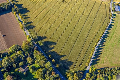 Aerial view, triangular group of trees in a field on Lünener Straße, field, field, group of trees,