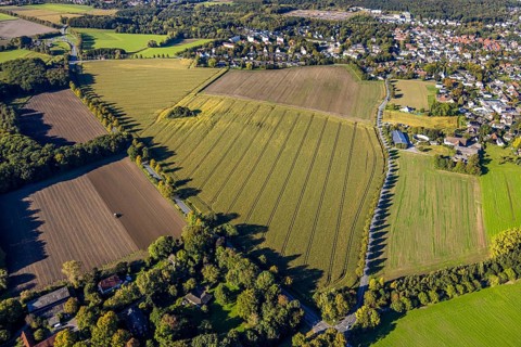 Aerial view, triangular group of trees in a field on Lünener Straße, field, field, group of trees,
