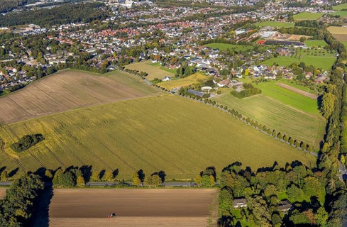 Aerial view, triangular group of trees in a field on Lünener Straße, field, field, group of trees,