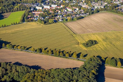 Aerial view, triangular group of trees in a field on Lünener Straße, field, field, group of trees,