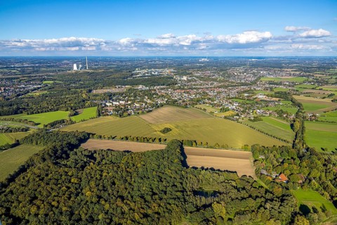 Aerial view, triangular group of trees in a field on Lünener Straße, field, field, group of trees,