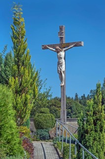 Crucifix and the tree of life (Thuja) at the Roman Catholic parish church of the Assumption of the