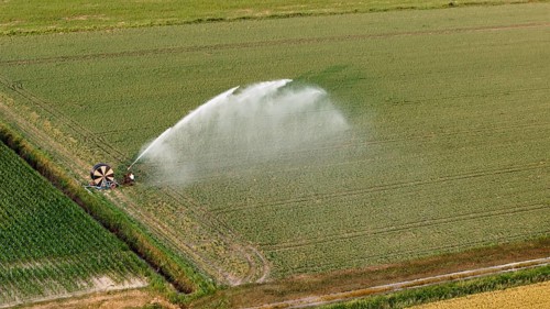 Sprinkler irrigation system watering soybean crops with fine mist in a lush green field during a