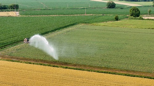 Vast Soybean Field in Northern Italy Receiving Water from a Powerful Irrigation Sprinkler System on