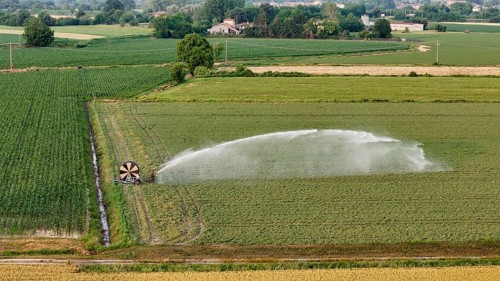Springtime agricultural irrigation using a large rain gun sprinkler system to water young soybean