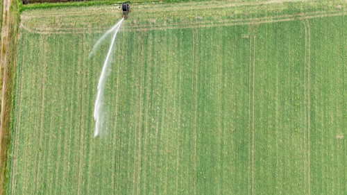 Aerial view of a large agricultural field with a rain gun sprinkler system irrigating young soybean