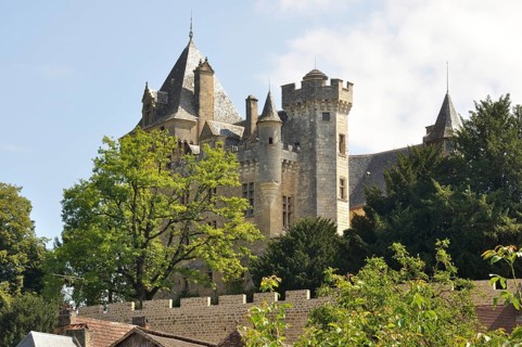 A medieval stone castle with towers surrounded by lush greenery under a clear sky. Village of