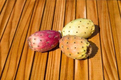 Prickly pears