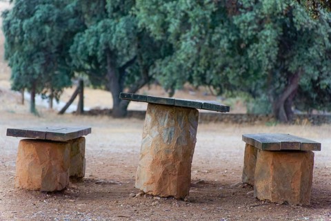 Rustic wooden table and benches providing a peaceful resting spot in a park setting