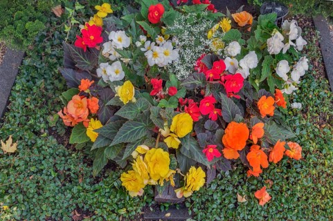 Gravesite with lavish floral decoration, catholic cemetery, Kempten, Allgäu, Bavaria, Germany