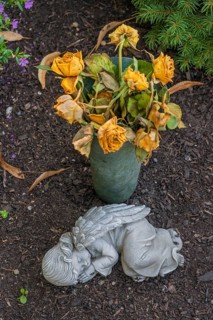 Gravesite with sleeping putti and wilting yellow roses, catholic cemetery, Kempten, Allgäu,