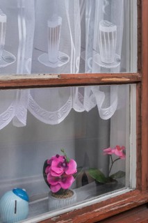 Window with blind, white, curtain with orchids at the Allgäuhalle, Kempten, Allgäu, Bavaria,