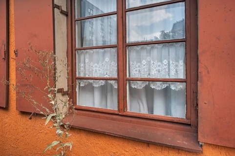 Window with white floral blind, curtain, near the Allgäuhalle, Kempten, Allgäu, Bavaria, Germany