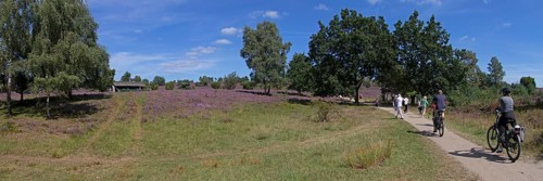 Panorama shot, Photomerge, apiary, tourists, cyclists, heather blossom at Wilseder Berg, Lüneburg