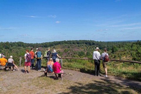 Viewpoint, Totengrund, tourists, Lüneburg Heath near Wilsede, Bispingen, Lower Saxony, Germany