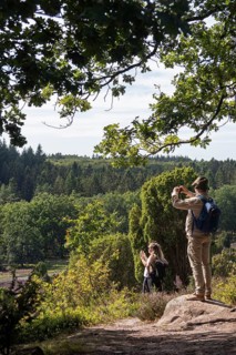 Viewpoint near the Totengrund, tourists taking photos, Lüneburg Heath near Wilsede, Bispingen,