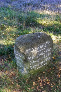 Stone signpost, blooming heather, heather blossom, Lüneburg Heath near Wilsede, Bispingen, Lower