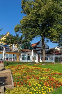 Houses on the Alter Strom, flowers, trees, Warnemünde, Rostock, Mecklenburg-Vorpommern, Germany
