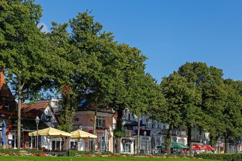 Houses on the Alter Strom, flowers, trees, Warnemünde, Rostock, Mecklenburg-Vorpommern, Germany