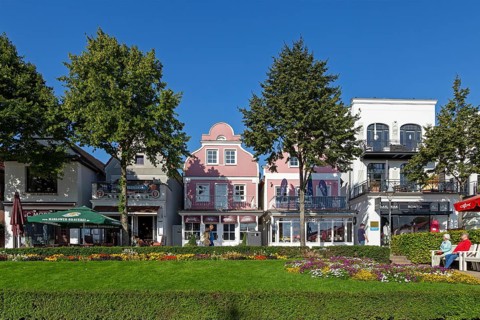 Houses on the Alter Strom, flowers, trees, Warnemünde, Rostock, Mecklenburg-Vorpommern, Germany