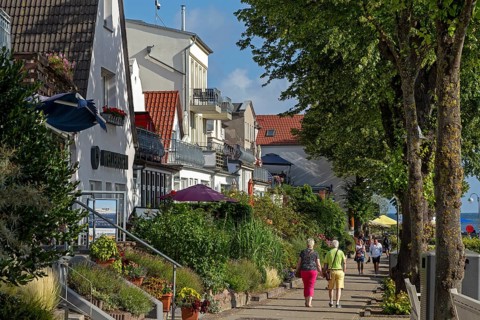 Houses on the Alter Strom, trees, Warnemünde, Rostock, Mecklenburg-Western Pomerania, Germany