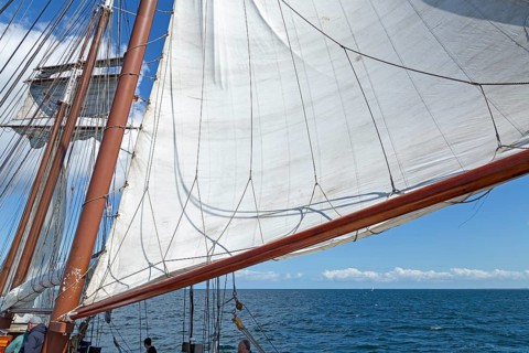 Sailing, sailing ship, Hanse-Sail, Baltic Sea near Warnemünde, Rostock, Mecklenburg-Western