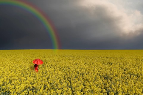 Woman with red umbrella in rape field rainbow