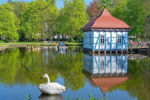 Swan in front of Lusthaus in Stadthagen City Park Germany