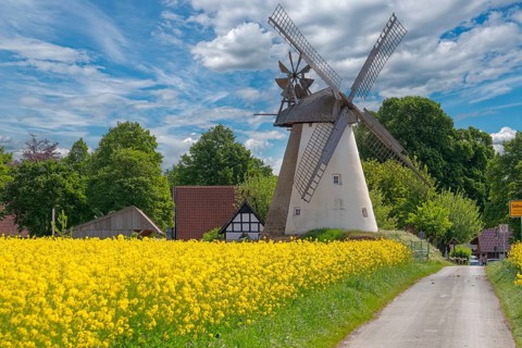 Windmill with rape field Südhemmern Hille North Rhine-Westphalia Germany