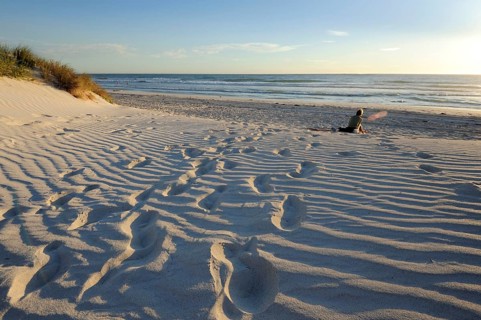 Beach and dunes near Lancelin, Perth, Western Australia, WA, Indian Ocean, Australia