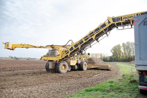 Beet (beta), beet harvest, loading machine loads beet onto lorry via a conveyor belt, North