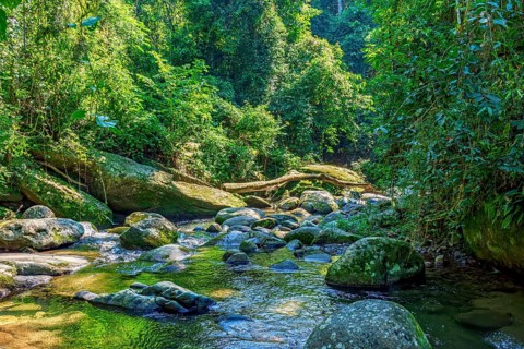 River crossing the rainforest on the paradise island of Ilhabela in Sao Paulo, Ilhabela, Sao Paulo,