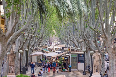 View at La Rambla in Palma a tree lined boulevard with fresh flower market and lot of visitors,