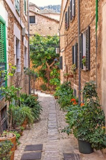 Idyllic cobblestone alley with homes in an old village with green plants and flowers in pots