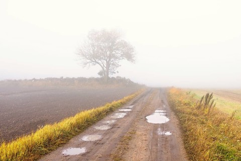 Gravel road with potholes a misty autumn morning with a single tree in the countryside