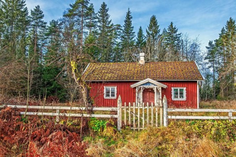 Red wooden cottage with a with fence and a gate an autumn day by the forest edge, Sweden