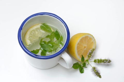 Peppermint tea, peppermint leaves and a slice of lemon in a cup of hot water