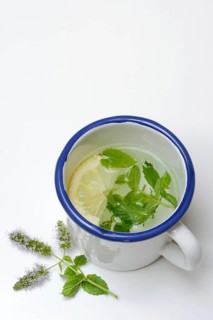 Peppermint tea, peppermint leaves and a slice of lemon in a cup of hot water