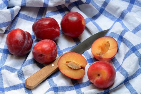 Red plums with knife on cloth, halved, Prunus domestica
