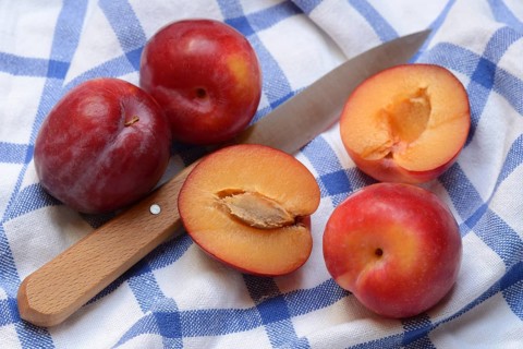 Red plums with knife on cloth, halved, Prunus domestica