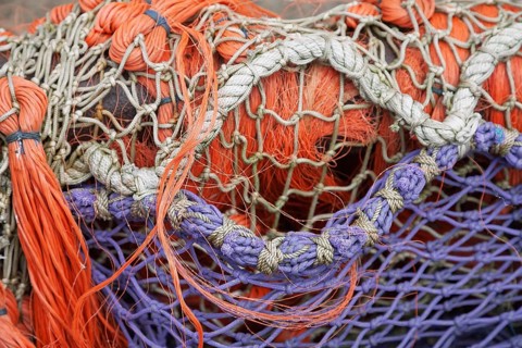 Close-up of superimposed, colourful fishing nets in orange and purple, East Frisia, Lower Saxony,