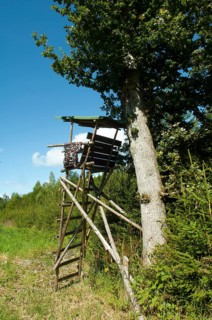 High seat next to a tree