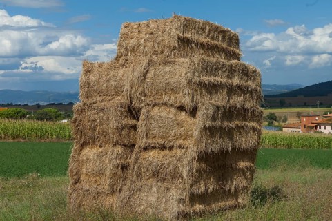 A pile of bundled straw in a meadow
