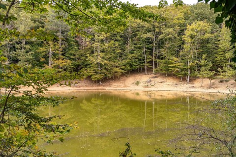 The lake Laghetto Falascone d'Umbra in the Gargano National Park, Gargano, Apulia, Italy