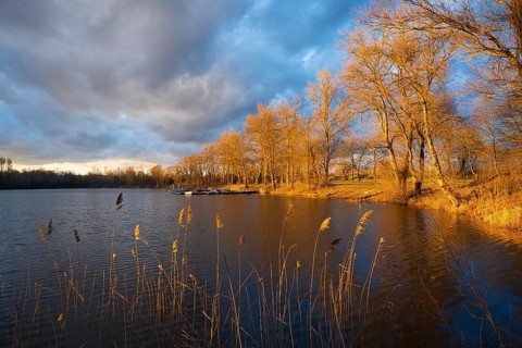 Lake in spring, dramatic sky, evening sun illuminates bare trees. Rhine-Neckar district,