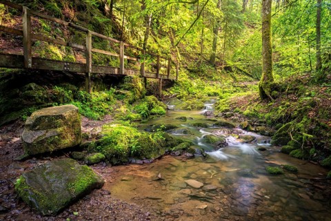 Lotenbachklamm, landscape in the Black Forest, hiking trail with wooden bridge, Lotenbach with