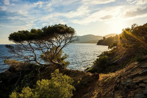 Picturesque hiking trail on the coast, sunset, La Croix-Valmer, Saint Tropez, Var, French Riviera,